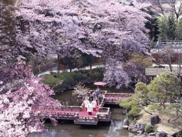 原宿 東郷記念館　イメージ画像